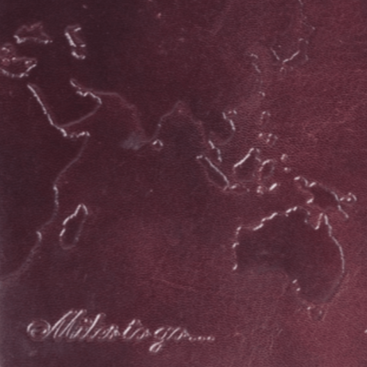 World Leather Journal