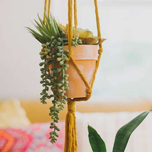 Flourish Plant Hanger Mustard