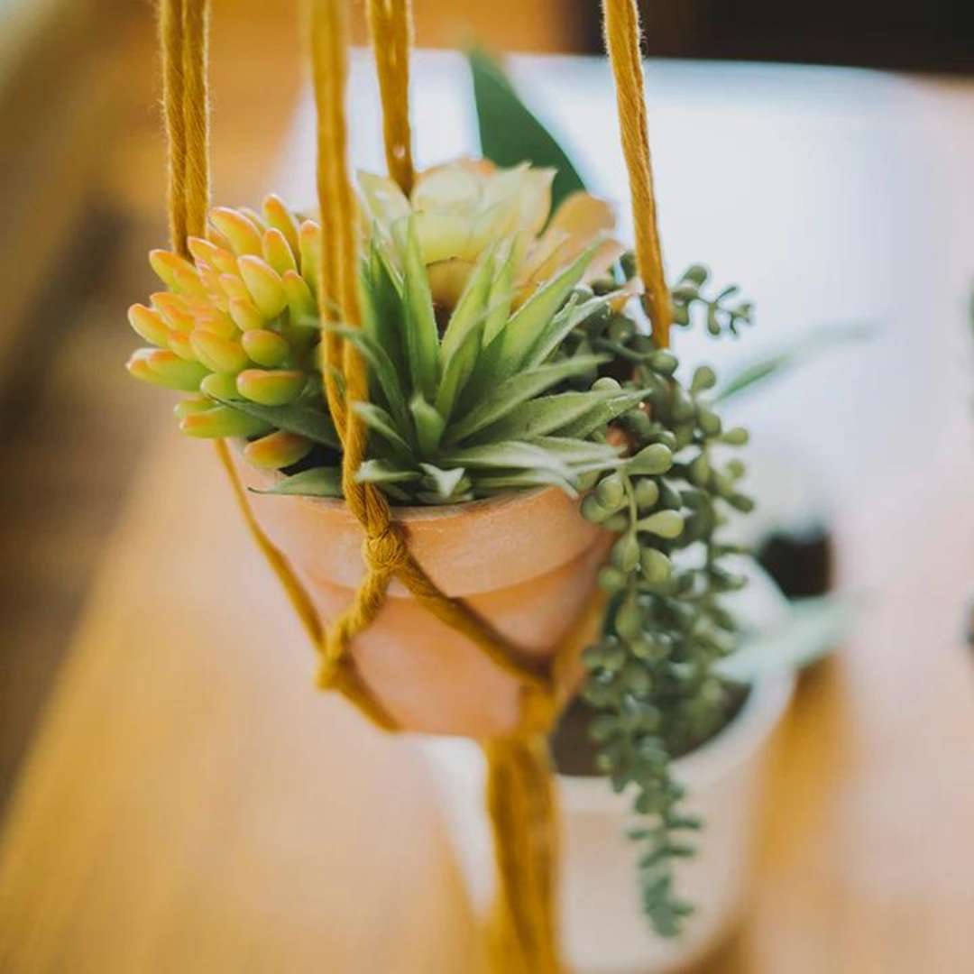 plant hangers