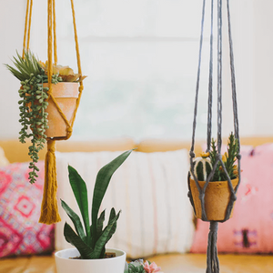 plant hangers